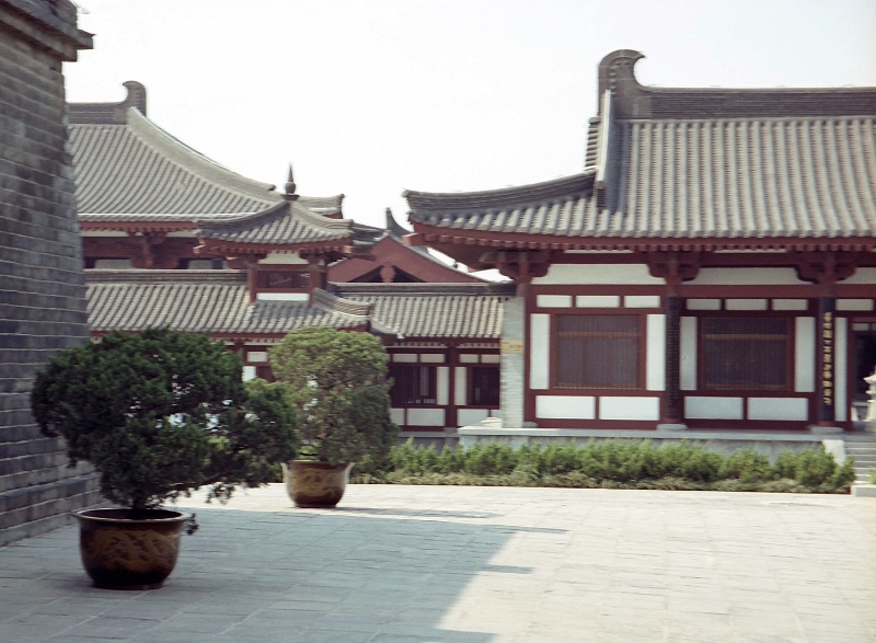 gardens, Xian China 6.jpg